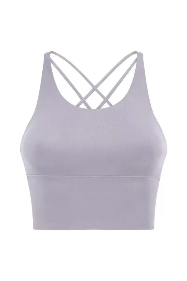 Alicia Lilac Gray Crop Top