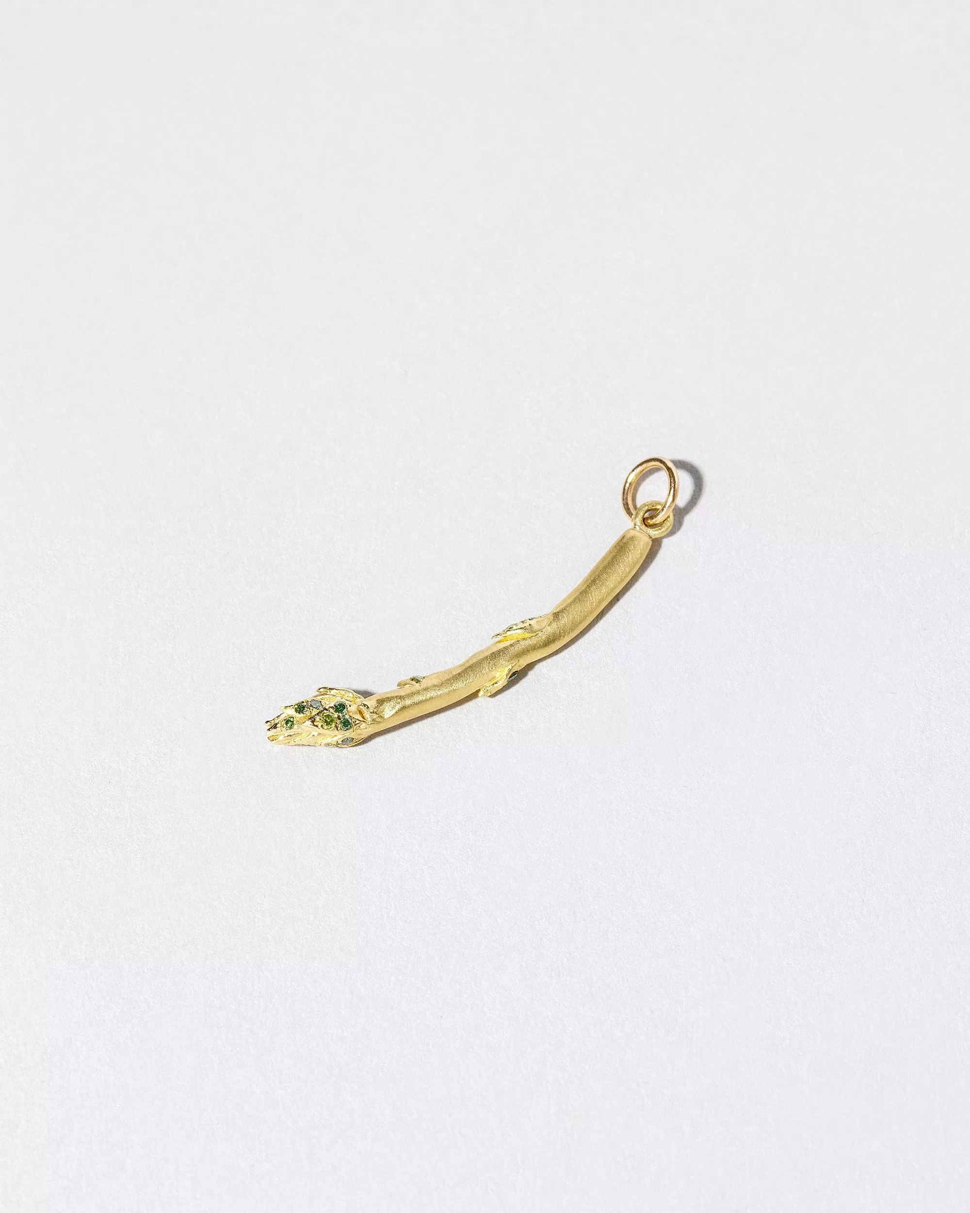 Asparagus Charm