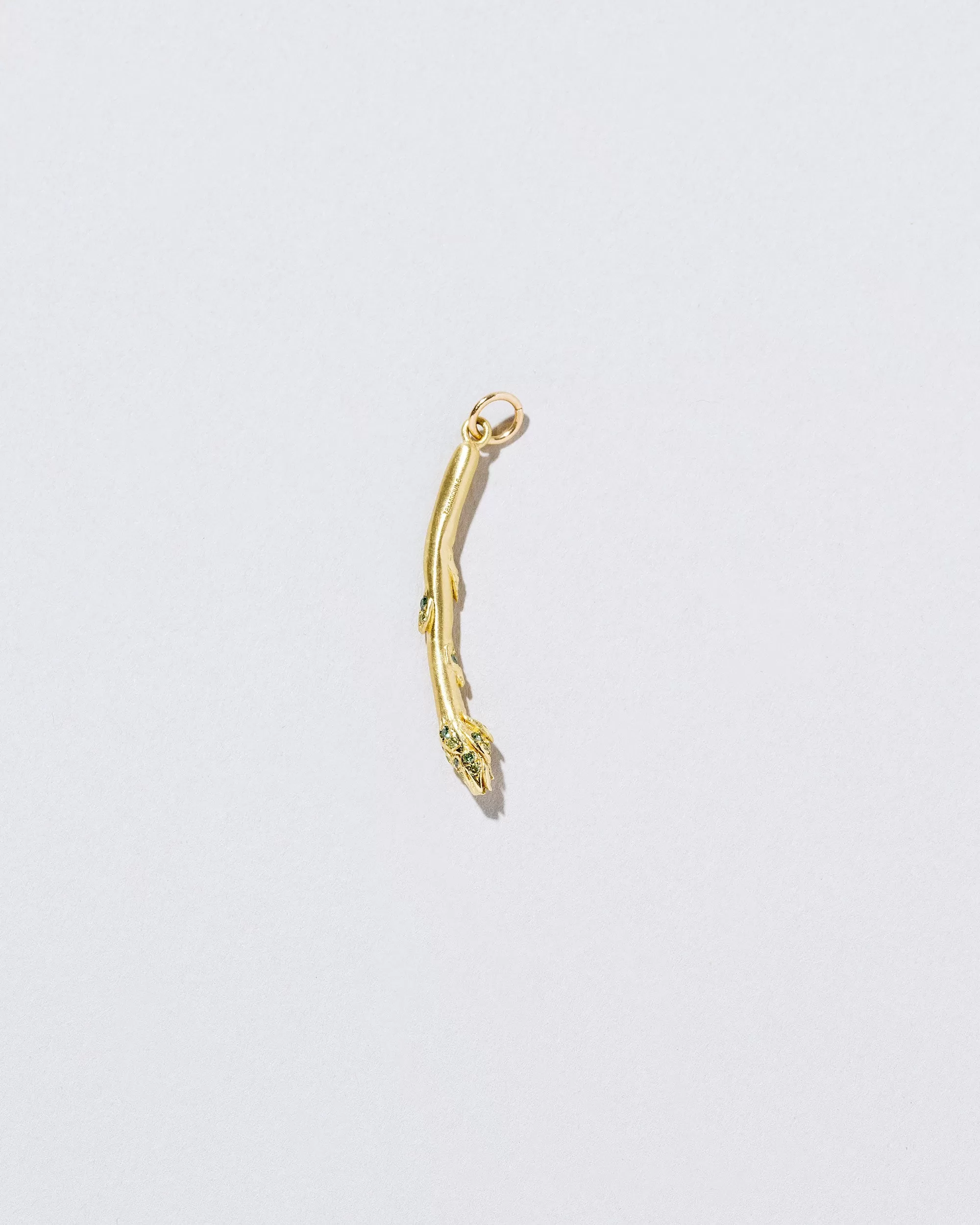 Asparagus Charm