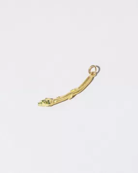 Asparagus Charm