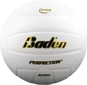 Baden Perfection Leather Volleyball