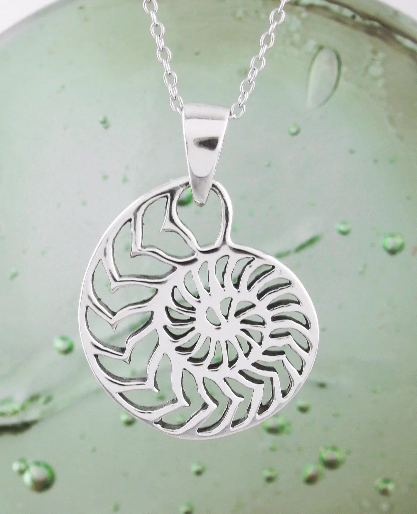 Chambered Nautilus Shell Pendant