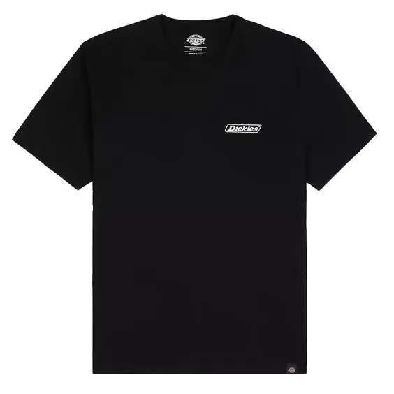 Dickies men's short sleeve t-shirt Roseburg DK0A4YBT BLK black