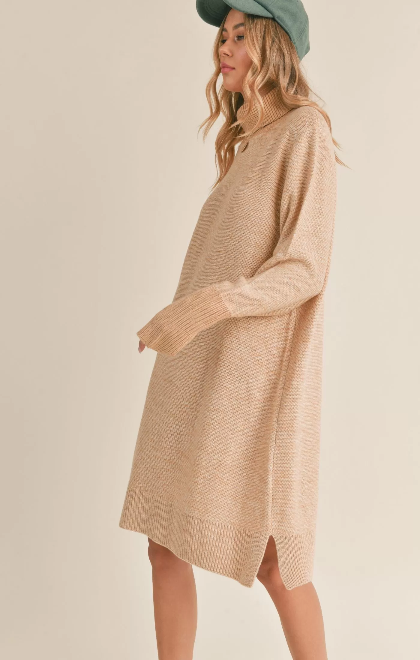 Mika Turtleneck Sweater Dress